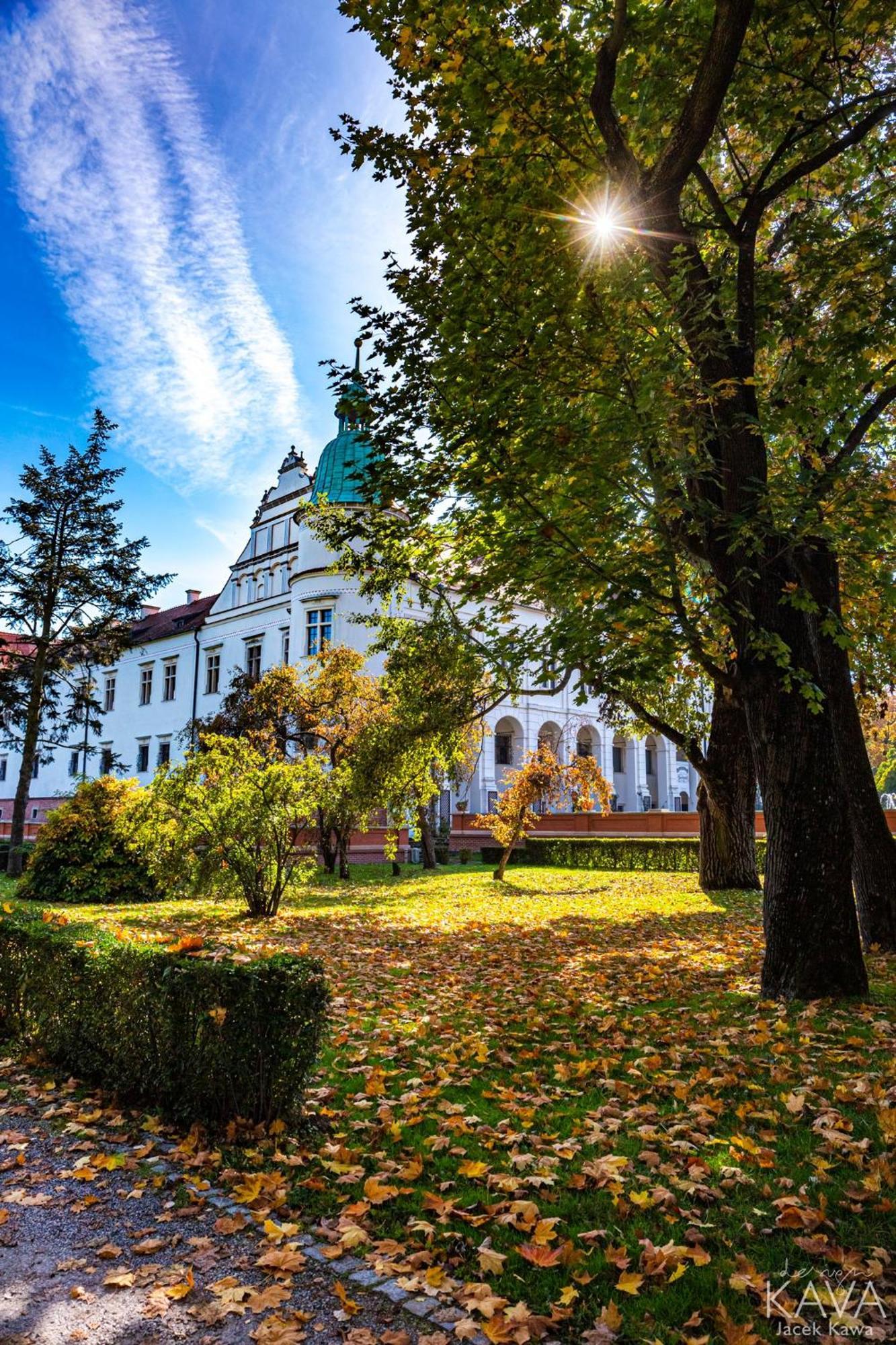 Zamek W Baranowie Sandomierskim Baranów Sandomierski エクステリア 写真